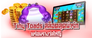 Tiny Toads สล็อตสุดน่ารัก พร้อมรางวัลใหญ่